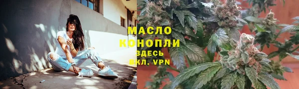 дживик Майский