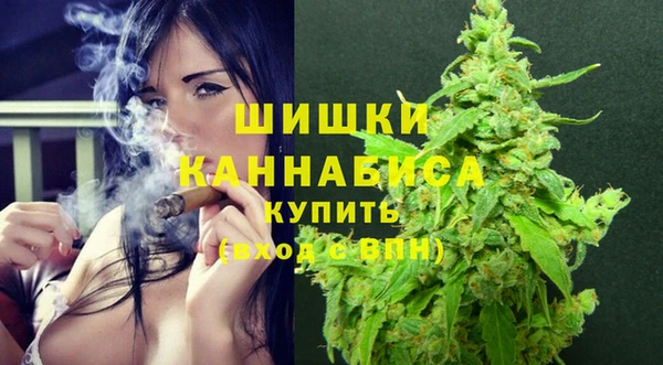 крисы Магас