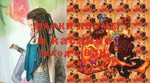 крисы Магас