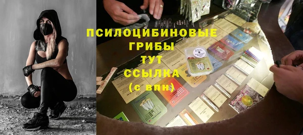 дживик Майский