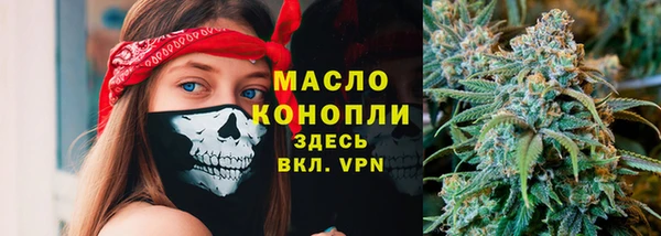 крисы Магас