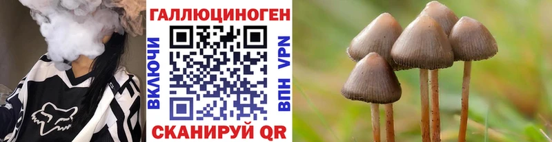 Галлюциногенные грибы Cubensis  дарнет шоп  Шахунья 
